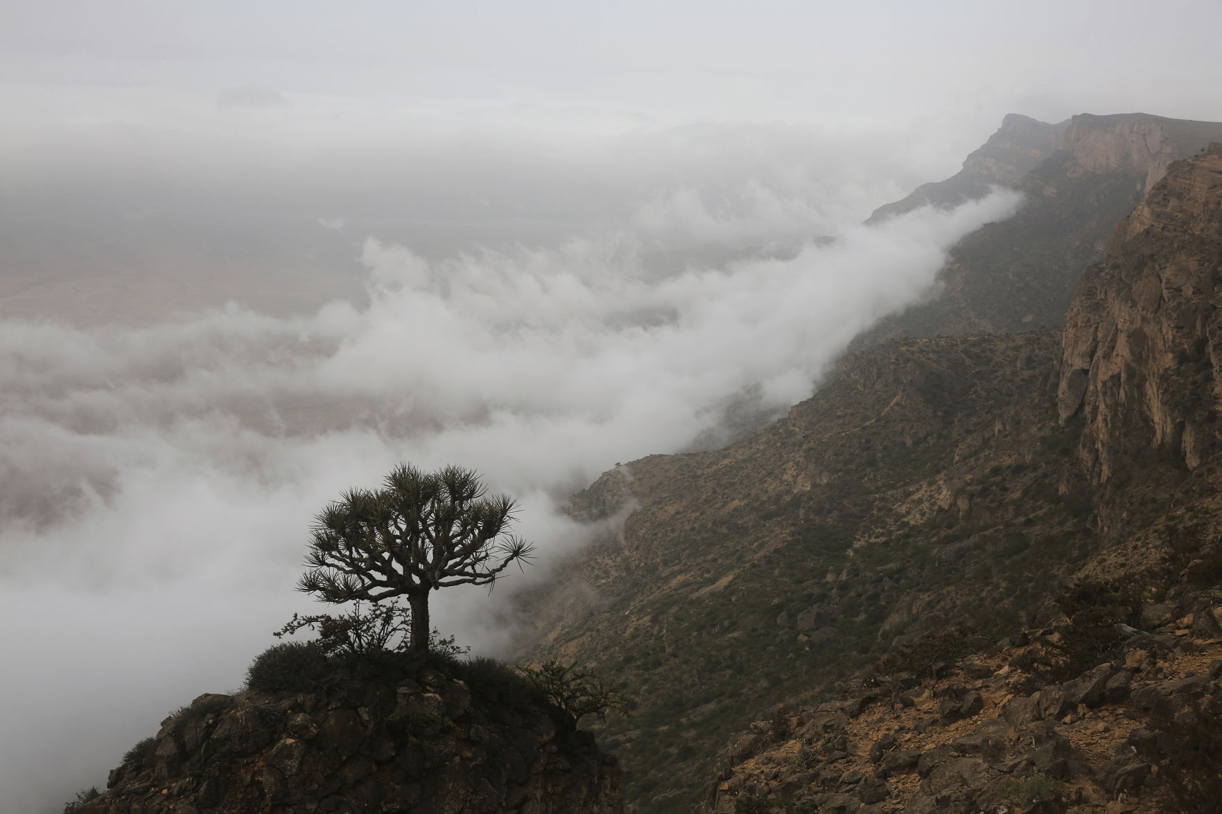 Travel Oman Monsoon